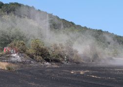 Flaechenbrand Bei Jena 020718 00010